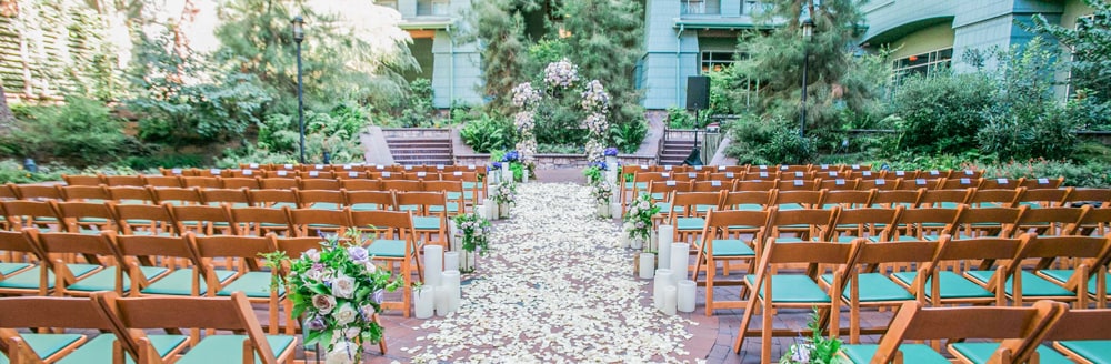 Flower petals cover an aisle on a courtyard lined with many small trees