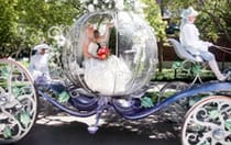 Cinderella's Coach
