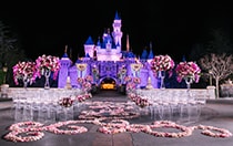 Chairs, flowers and an aisle of petals ready for a wedding ceremony in front of Sleeping Beauty Castle