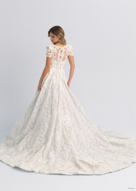 The back of a wedding dress with short sleeves and a long train inspired by Cinderella