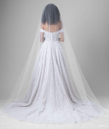 The back of a bride wearing a Jasmine inspired A line gown featuring beading, off the shoulder sleeves, a veil and a train