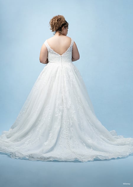 The back of a bride wearing a Cinderella inspired ball gown featuring lace detail and a train