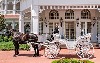 A horse drawn carriage in front of Disney's Grand Floridian Resort & Spa
