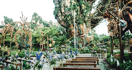 An outdoor ceremony setup with wooden benches, floral arrangements and lush surroundings in an Avatar themed environment