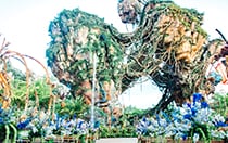 A space arranged for a wedding ceremony in front of a waterfall coming from a floating mountain in Pandora The World of Avatar