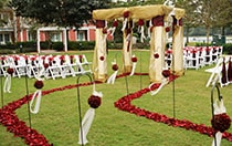 Croquet Court