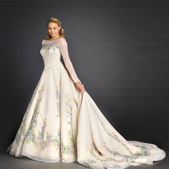 cinderella gown for wedding