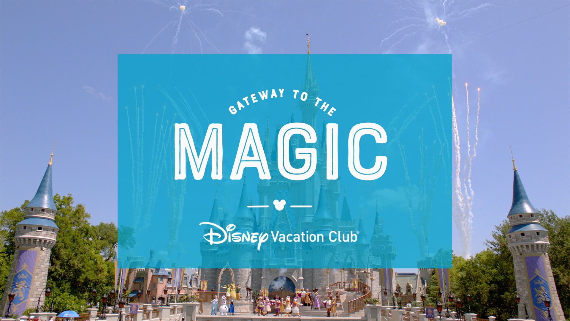 View Free Disney Vacation DVD